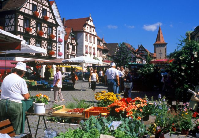 Schwarzwald und Straßburg